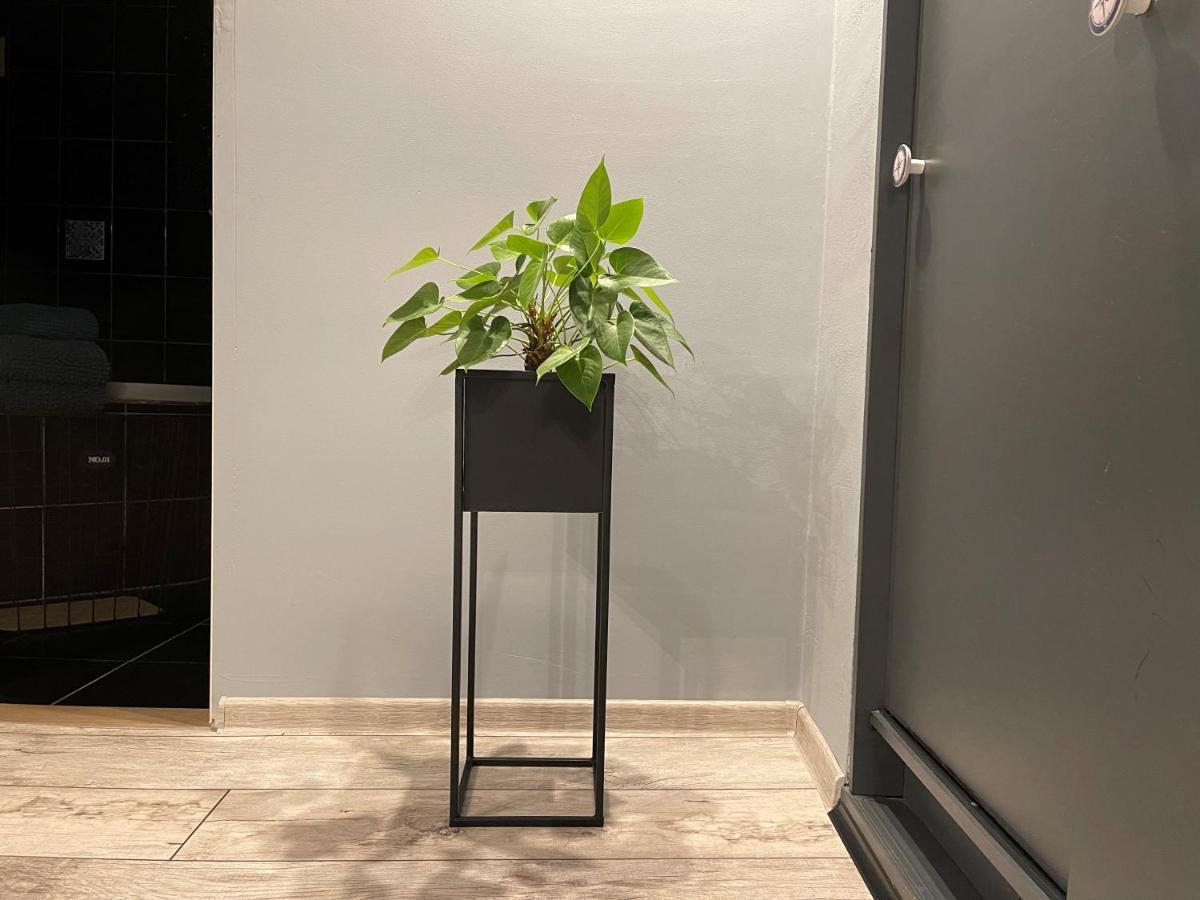 Apartamenty Pod Uwalonym Debem Jezow Sudecki Luaran gambar