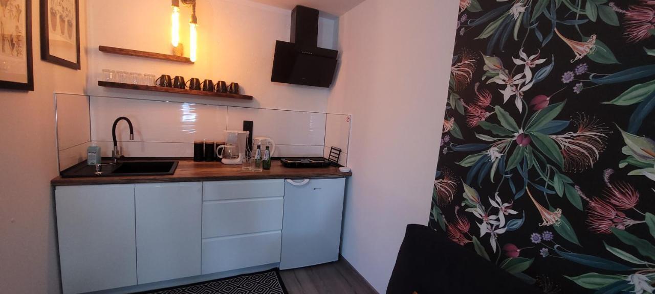 Apartamenty Pod Uwalonym Debem Jezow Sudecki Luaran gambar